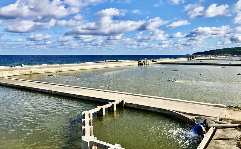 【久米総合開発】急速冷凍チビ車海老：500g（要加熱） 海の幸 海鮮 車えび クルマエビ くるまえび 高級 食材 生食 刺身 鮮度抜群 プリプリ 甘み 旨味 ギフト グルメ お祝い 贈答品 贈り物 お取り寄せ 土産