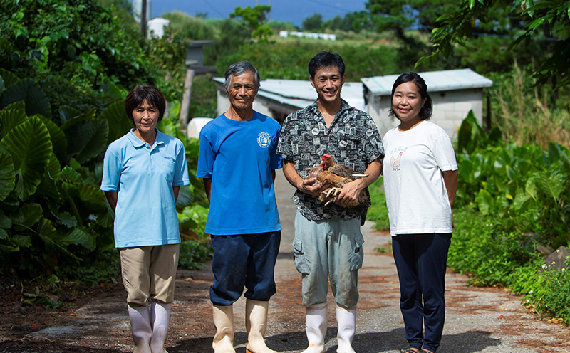 島の泡盛酒粕でじっくり健康的に育てた 久米島赤鶏ホール(丸鶏) 2kg(1羽分) 鶏肉 チキン 安心安全 ぷりっぷり ジューシー 肉汁 弾力 肉質 フランス原産 レッドブロ― ローストチキン サムゲタン 参鶏湯 ダッチオーブン 丸ごと調理 キャンプ クリスマス ホームパーティー ダッチオーブン ファミリー