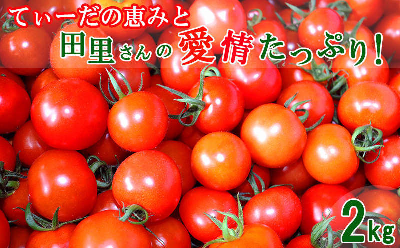 てぃーだの恵みと田里さんの愛情たっぷり！ミニトマト 赤2kg ミニトマト トマト 野菜 甘い 濃厚 フルーツ デザート フレッシュ サラダ スープ ピザ パスタ ソース トマト料理 リコピン ビタミンC ビタミンA β－カロテン 抗酸化作用 免疫機能