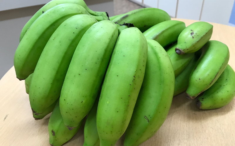 2026幎çºéãå®æäŸ¿ãä¹
米島ç£äººæ°ã®ãã«ãŒããå±ã 幎5åã³ãŒã¹ ååœ ãã«ãŒã æç© ãã³ãŽãŒ ã¢ãŒãŠã£ã³ ããŒã ãã€ãããã« ã¹ããã¯ãã€ã³ Nãã€ã³ ãã¯ã€çš® å³¶ããã ãã¶ãŒã èŽç èŽãç© ãã¬ãŒã³ã äººæ° å®æäŸ¿ å
è¡äºçŽ æ²çž ä¹
米島