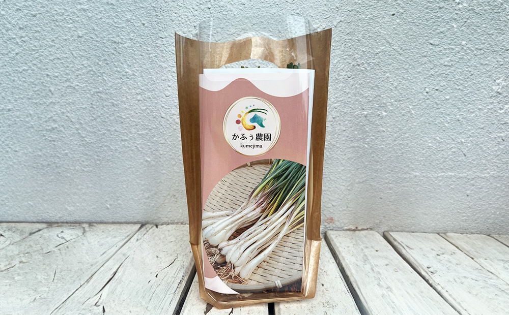 【2026年1月より順次発送】久米島の潮風育ち！島らっきょう 1.8kg 農家直送 国産 新鮮 旬 沖縄 島野菜 鮮度 塩漬け 天ぷら 肉巻き キムチ 漬け物 レシピ アレンジ 人気 おつまみ シャキシャキ 疲労回復 滋養強壮 食物繊維