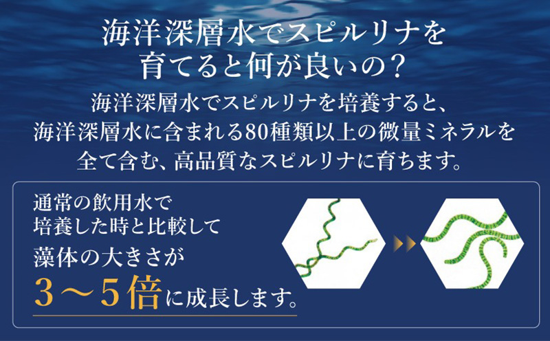 海洋深層水純粋培養スピルリナ100％「不老藻（ふろうそう）」600粒 スーパーフード ビタミン ミネラル サプリ アミノ酸 タンパク質 食生活改善 野菜不足解消 海洋深層水 5大栄養素 栄養補助食品 アルカリ性 ベータカロテン 葉緑素 クロロフィル 消化吸収 炭水化物 脂質 健康管理 栄養補給