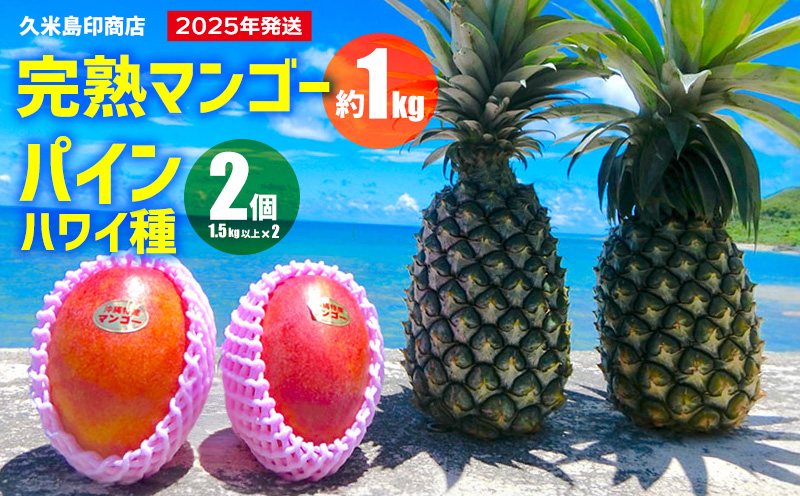 【2025年発送】久米島印商店 完熟マンゴー約1kg&Ｎパイン2個（1.5kg以上×2） マンゴー パイナップル セット 甘い 酸味 バランス 人気 贈り物 ギフト フルーツ 果物 デザート スムージー ジュース アイス ヨーグルト ジャム 南国 沖縄 久米島