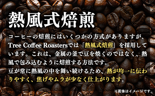 【完全受注焙煎】Tree Coffee Roasters「コスタリカ タラス ハニー ハイロースト」 200g - コーヒー 豆 こだわり 自家焙煎 コーヒー豆 熱風式焙煎 本格 贈り物 おすすめ 人気 沖縄県 八重瀬町