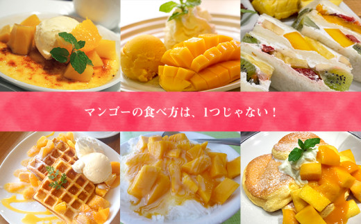 【先行受付】【2026年発送】ヤマト農園 アップルマンゴー訳あり約1.5kg（3～6玉）- 先行予約 沖縄県産 産地直送 南国フルーツ 旬の味覚 季節の果物 ご自宅用 訳アリ 沖縄マンゴー 沖縄県 八重瀬町