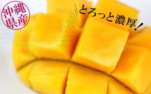 【先行受付】【2026年発送】ヤマト農園 アップルマンゴー訳あり約2kg（4～6玉）- 先行予約 沖縄県産 産地直送 南国フルーツ 旬の味覚 季節の果物 ご自宅用 訳アリ 沖縄マンゴー 沖縄県 八重瀬町