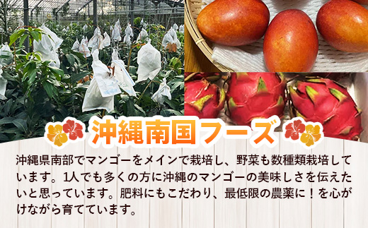 【特別提供中】 国産 希少種！南国フーズのアップルバナナ 約5kg - バナナ ばなな 小ぶり 沖縄県 産地直送 果物 フルーツ 南国 朝食 おすすめ 沖縄県 八重瀬町【価格改定】