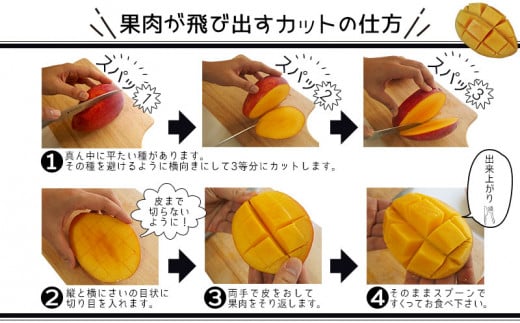 ãå
è¡åä»ãã2026幎çºéãçç£çµåãè²ãŠãå³éžã»å®çãã³ãŽãŒçŽ2kg - å
è¡äºçŽ æ²çžçç£ ç£å°çŽé ååœãã«ãŒã ã¢ããã«ãã³ãŽãŒ æ¬ã®å³èŠ å£ç¯ã®æç© èŽãç© æ²çžç å
«éç¬çº