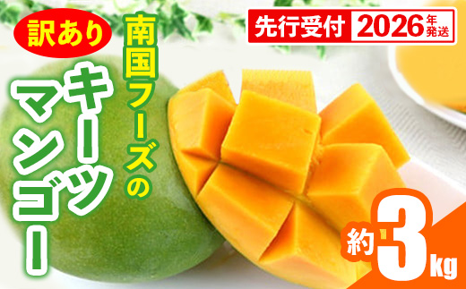 【先行受付】【2026年発送】南国フーズのキーツマンゴー 訳あり 約3kg - 先行予約 沖縄 産地直送 南国フルーツ ご家庭用 ご自宅用 国産マンゴー 希少種 オススメ 沖縄県 八重瀬町