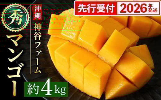 【化粧箱入】【先行受付・2026年発送】神谷ファームのマンゴー（秀）約4kg - 先行予約 沖縄県産 産地直送 南国フルーツ 旬の味覚 季節の果物 贈り物 ギフト 沖縄県 八重瀬町