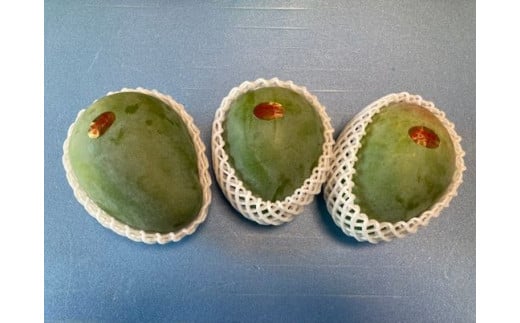 【贈答用】【先行受付・2026年発送】宇地原農園の沖縄県産キーツマンゴー約2kg - 先行予約 沖縄県産 産地直送 南国フルーツ 旬の味覚 季節の果物 希少種 化粧箱 ギフト 贈り物 沖縄県 八重瀬町