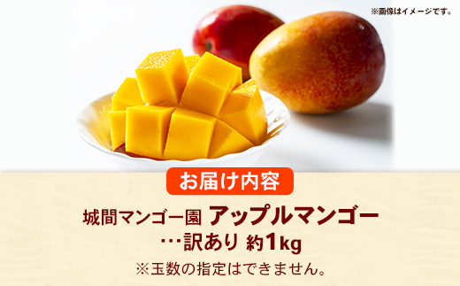【先行受付】【2026年発送】城間マンゴー園のアップルマンゴー 訳あり 約1kg - 先行予約 沖縄県産 産地直送 南国フルーツ 旬の味覚 季節の果物 ご自宅用 訳アリ 家庭用 沖縄マンゴー 沖縄県 八重瀬町
