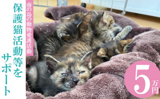 【南の島の動物愛護活動】保護猫活動等をサポート（5万円）