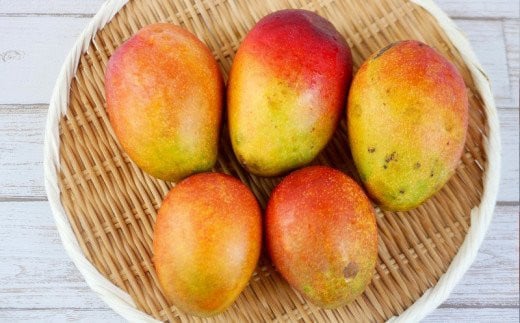 ãå
è¡åä»ãã2026幎çºéãçç£çµåãè²ãŠãã¢ããã«ãã³ãŽãŒ èš³ããå çŽ1.5kg - å
è¡äºçŽ æ²çžçç£ ç£å°çŽé ååœãã«ãŒã æ¬ã®å³èŠ å£ç¯ã®æç© ãèªå®
çš å®¶åºçš æ²çžç å
«éç¬çº