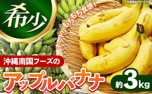国産 希少種！南国フーズのアップルバナナ 約3kg - バナナ ばなな 小ぶり 沖縄県 産地直送 果物 フルーツ 南国 朝食 おすすめ 沖縄県 八重瀬町