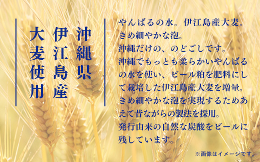 【定期便6回】オリオン ザ・ドラフト＜350ml×24缶＞が毎月届く【価格改定YC】