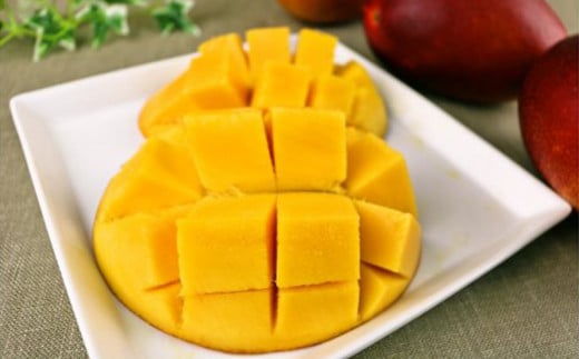 【化粧箱入】【先行受付・2026年発送】神谷ファームのマンゴー（秀）約1.5Kg - 先行予約 沖縄県産 産地直送 南国フルーツ 旬の味覚 季節の果物 贈り物 ギフト 沖縄県 八重瀬町