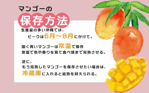 【先行受付】【2026年発送】渡口ファームの家庭用マンゴー約2kg - 先行予約 沖縄県産 産地直送 南国フルーツ 旬の味覚 季節の果物 ご自宅用 沖縄マンゴー 沖縄県 八重瀬町