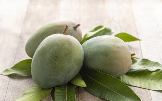 ãå
è¡åä»ãã2026幎çºéãç¥è°·ãã¡ãŒã ã®ããŒããã³ãŽãŒ çŽ2kg - å
è¡äºçŽ æ²çžçç£ ç£å°çŽé ååœãã«ãŒã æ¬ã®å³èŠ å£ç¯ã®æç© åžå°çš® èŽãç© ã®ãã æ²çžç å
«éç¬çº