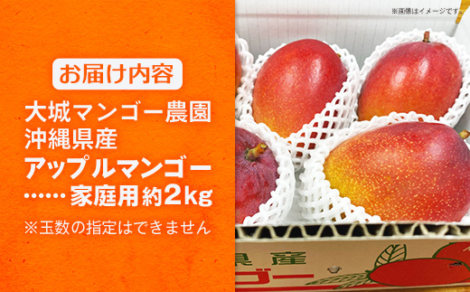 【先行受付】【2026年発送】大城マンゴー農園 マンゴー 家庭用 約2kg - 先行予約 アップルマンゴー 沖縄 産地直送 南国フルーツ 旬の味覚 ご自宅用 オススメ 沖縄県 八重瀬町