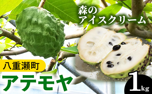 【先行受付】森のアイスクリーム アテモヤ 1kg (沖縄県八重瀬町産) - 先行予約 沖縄 産地直送 南国フルーツ 旬の味覚 旬のフルーツ 沖縄県 八重瀬町