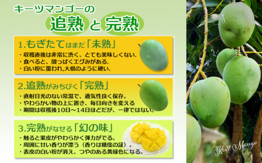 ãå
è¡åä»ãã2026幎çºéãã€ãã蟲å ããŒããã³ãŽãŒçŽ1.5kg - ç£å°çŽé æ²çžç£ åœç£ æç© ãã«ãŒã ååœãã«ãŒã æ¬ã®å³èŠ è¿œç å
è¡äºçŽ åžå°çš® äººæ° ãããã éæç¡æ æ²çžç å
«éç¬çº