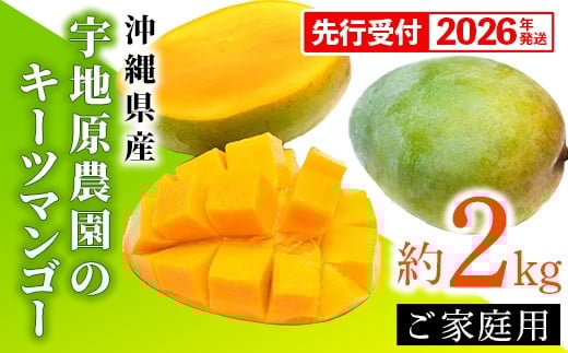 【先行受付】【2026年発送】宇地原農園の沖縄県産 家庭用キーツマンゴー約2kg - 先行予約 沖縄県産 産地直送 南国フルーツ 旬の味覚 季節の果物 ご自宅用 希少種 沖縄県 八重瀬町