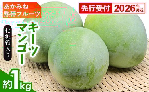 【化粧箱入】【先行受付・2026年発送】あかみね熱帯フルーツのキーツマンゴー約1kg - 先行予約 沖縄県産 産地直送 南国フルーツ 旬の味覚 季節の果物 希少種 化粧箱 ギフト 沖縄県 八重瀬町
