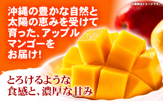【先行受付】【2026年発送】城間マンゴー園のアップルマンゴー 訳あり 約1kg - 先行予約 沖縄県産 産地直送 南国フルーツ 旬の味覚 季節の果物 ご自宅用 訳アリ 家庭用 沖縄マンゴー 沖縄県 八重瀬町