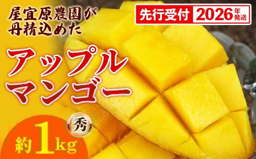 【先行受付】【2026年発送】屋宜原農園が丹精込めた「アップルマンゴー」秀約1kg - 先行予約 沖縄県産 産地直送 南国フルーツ 旬の味覚 旬のフルーツ 贈り物 ギフト 沖縄県 八重瀬町