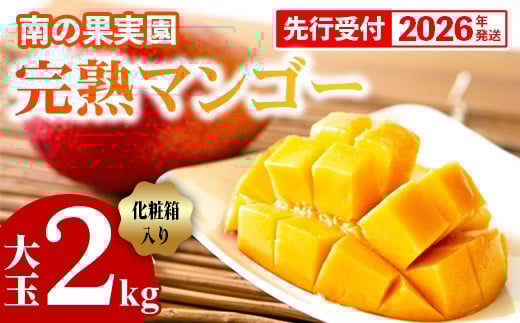 【化粧箱入】【先行受付・2026年発送】南の果実園 完熟マンゴー 大玉 2kg（3〜4玉）〈贈答用化粧箱入り〉- 先行予約 沖縄県産 産地直送 アップルマンゴー 旬の味覚 季節の果物 贈り物 ギフト 沖縄県 八重瀬町