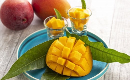 【化粧箱入】【先行受付・2026年発送】神谷ファームのマンゴー（極）約1Kg - 先行予約 沖縄県産 産地直送 南国フルーツ 旬の味覚 季節の果物 贈り物 ギフト 沖縄県 八重瀬町