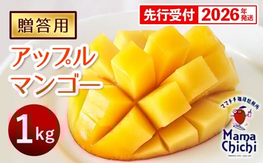 【贈答用】【先行受付・2026年発送】ママチチマンゴーファームの贈答用アップルマンゴー約1kg - 先行予約 沖縄県産 産地直送 南国フルーツ 旬の味覚 旬のフルーツ 贈り物 ギフト 沖縄県 八重瀬町