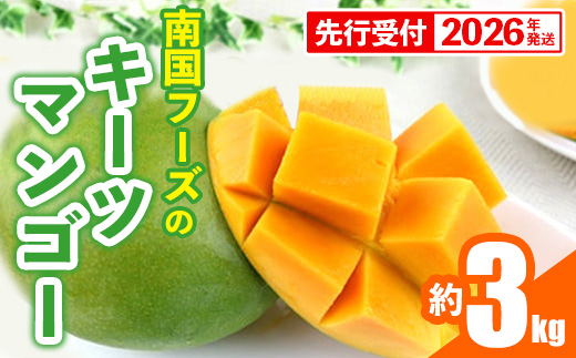 【先行受付】【2026年発送】南国フーズのキーツマンゴー 約3kg - 先行予約 沖縄 産地直送 南国フルーツ 旬の味覚 沖縄県産 国産マンゴー 希少種 オススメ 沖縄県 八重瀬町