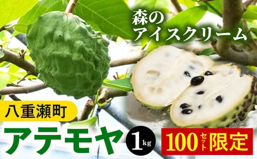 【2022年12月から翌年3月発送予定】森のアイスクリーム　アテモヤ 1kg(沖縄県八重瀬町産)