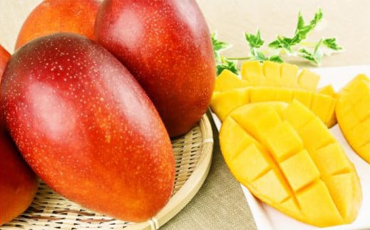 ãåç²§ç®±å
¥ããå
è¡åä»ã»2026幎çºéãç¥è°·ãã¡ãŒã ã®ãã³ãŽãŒïŒæ¥µïŒçŽ4Kg - å
è¡äºçŽ æ²çžçç£ ç£å°çŽé ååœãã«ãŒã æ¬ã®å³èŠ å£ç¯ã®æç© èŽãç© ã®ãã æ²çžç å
«éç¬çº