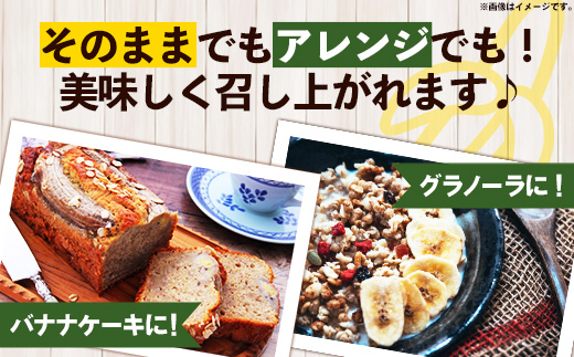 【特別提供中】 国産 希少種！南国フーズのアップルバナナ 約3kg - バナナ ばなな 小ぶり 沖縄県 産地直送 果物 フルーツ 南国 朝食 おすすめ 沖縄県 八重瀬町【価格改定】