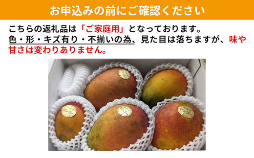 【先行受付】【2026年発送】ヤマト農園 アップルマンゴー訳あり約1.5kg（3～6玉）- 先行予約 沖縄県産 産地直送 南国フルーツ 旬の味覚 季節の果物 ご自宅用 訳アリ 沖縄マンゴー 沖縄県 八重瀬町
