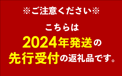 【先行受付】【2024年発送】神谷ファームのマンゴー（極）約4Kg