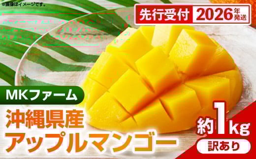 【先行受付】【2026年発送】MKファームの訳ありアップルマンゴー約1kg【訳あり】- 訳アリ 先行予約 家庭用 ご自宅用 沖縄県産 産地直送 南国フルーツ 旬の味覚 アップルマンゴー オススメ 沖縄県 八重瀬町