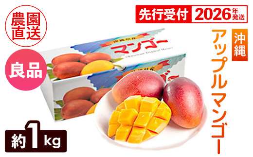 【化粧箱入】【先行受付・2026年発送】ヤマト農園 アップルマンゴー約1kg（良品）- 先行予約 沖縄県産 産地直送 南国フルーツ 旬の味覚 季節の果物 贈り物 ギフト 沖縄県 八重瀬町
