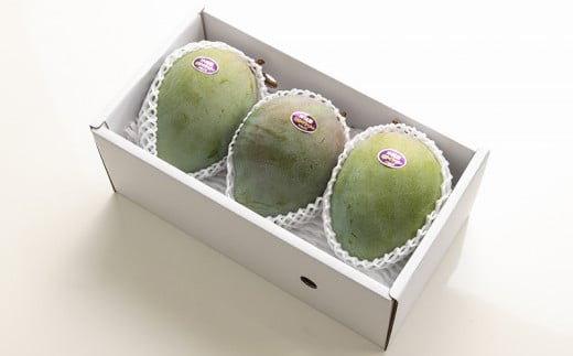 【先行受付】【2026年発送】神谷ファームのキーツマンゴー 約1.5kg - 先行予約 沖縄県産 産地直送 南国フルーツ 旬の味覚 季節の果物 希少種 贈り物 ギフト 沖縄県 八重瀬町