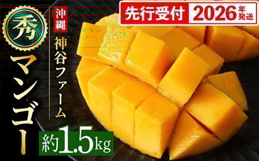 【化粧箱入】【先行受付・2026年発送】神谷ファームのマンゴー（秀）約1.5Kg - 先行予約 沖縄県産 産地直送 南国フルーツ 旬の味覚 季節の果物 贈り物 ギフト 沖縄県 八重瀬町