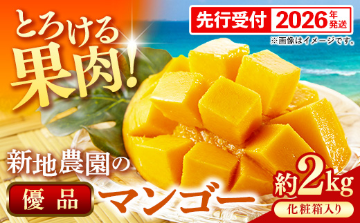 【化粧箱入り】【先行受付・2026年発送】新地農園 アップルマンゴー 優品 約2kg （4～6玉）- 産地直送 先行予約 沖縄県産 贈り物 ギフト 南国フルーツ 旬の味覚 オススメ 沖縄県 八重瀬町