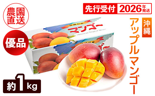 【化粧箱入】【先行受付・2026年発送】ヤマト農園 アップルマンゴー約1kg（優品）- 先行予約 沖縄県産 産地直送 南国フルーツ 旬の味覚 季節の果物 贈り物 ギフト 沖縄県 八重瀬町