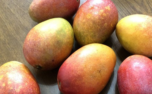 ãå
è¡åä»ãã2026幎çºéãçç£çµåãè²ãŠãã¢ããã«ãã³ãŽãŒ èš³ããå çŽ1.5kg - å
è¡äºçŽ æ²çžçç£ ç£å°çŽé ååœãã«ãŒã æ¬ã®å³èŠ å£ç¯ã®æç© ãèªå®
çš å®¶åºçš æ²çžç å
«éç¬çº