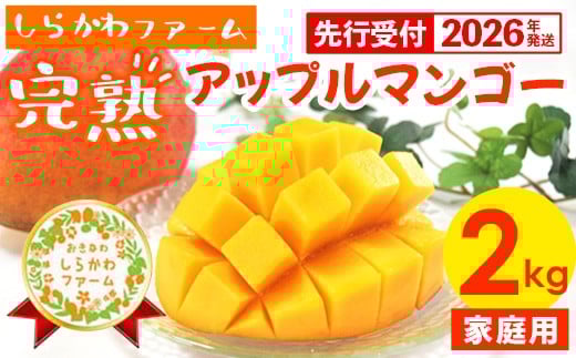 【先行受付】【2026年発送】しらかわファームの家庭用アップルマンゴー約2kg - 先行予約 沖縄県産 産地直送 南国フルーツ 旬の味覚 季節の果物 ご自宅用 家庭用 沖縄県 八重瀬町
