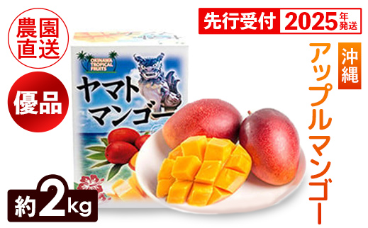 【化粧箱入】【先行受付・2026年発送】ヤマト農園 アップルマンゴー約2kg（優品）- 先行予約 沖縄県産 産地直送 南国フルーツ 旬の味覚 季節の果物 贈り物 ギフト 沖縄県 八重瀬町