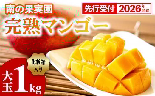 【化粧箱入】【先行受付・2026年発送】南の果実園 完熟マンゴー 大玉 1kg（2玉）〈贈答用化粧箱入り〉- 先行予約 沖縄県産 産地直送 アップルマンゴー 旬の味覚 季節の果物 贈り物 ギフト 沖縄県 八重瀬町