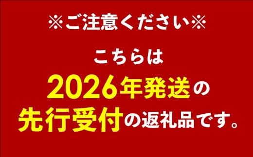 【化粧箱入】【先行受付・2026年発送】渡口ファームの こだわりマンゴー 約2kg - 先行予約 沖縄県産 産地直送 南国フルーツ 旬の味覚 季節の果物 贈り物 ギフト 沖縄県 八重瀬町